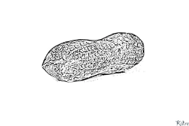 Ipeanut Amaphepha Ombala Aprintwayo