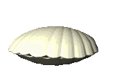 I-shellfish Imifanekiso Ebonakalayo I-gif