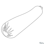 夏南瓜  可打印的彩页